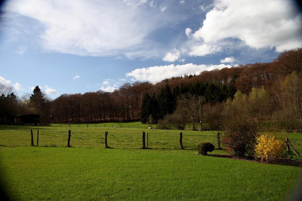 Une Parenthese En Ardenne Nollevaux Стая снимка